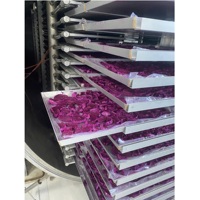 Gedroogde drakenvrucht in bulk, vacuüm verpakt, private label, Vietnam, bulk 1kg, gesneden, FD, 100% natuurlijke gesneden drakenvrucht