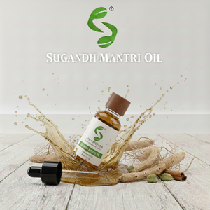 Natural Sugandh Mantri <b>Essential</b> <b>Oil</b> for Cosmetic Ingredients Fragrance Products Personal Care Applications & Industrial Supply - Product Image 4