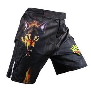 OEM Durable Lightweight Martial Arts Wear Fully Print Youth Gym Training Apparel Supplier Low MOQ MMA Shorts Cage Fight Trunks - Product Image 1