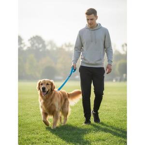 Laisse Réfléchissante pour Chien Yommy 120CM Double Sécurité 6 Couleurs 4 Tailles Laisse pour Animaux de Compagnie de Qualité avec Style - Product Image 1
