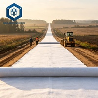 Membrane géotextile en tissu géogéomembrane à excellente performance de filtration 500g/m² pour les projets de drainage et de lutte contre l'érosion