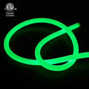 Grüne Farbe 24 V 18 mm Durchmesser 360 Grad leuchtende flexible Neonlampe geeignet für Außen- und Innenbereich