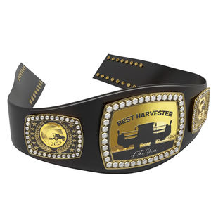 Cinturón de Campeonato al por Mayor, NUEVO Cinturón de Campeonato Mundial de Lucha Libre Ronpex International de Cuero y Latón/Zinc Personalizable - Product Image 5