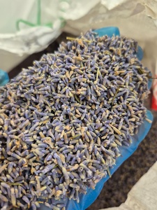 Flores y Capullos de Lavanda Secos al por Mayor, Hierbas Botánicas Premium, Flores Secas Naturales, Calidad Probada en Laboratorio - Product Image 5