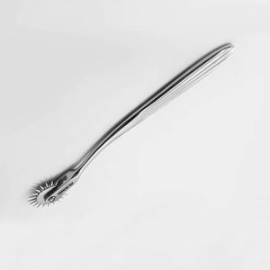 Rueda de Wartenberg, Rueda de Acero Neurológica, Trastornos Neurológicos, Disfunción Sensorial, Rueda de Wartenberg - Product Image 6