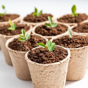 Pot de tourbe écologique biodégradable et compostable de 3 pouces, pour semis et jeunes plants, avec étiquettes de plantes, vente en gros pour pépinières - Product Image 5
