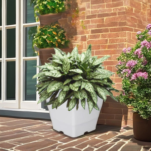 <b>Plastic</b> Wall Mounted Planter Hanging Self Watering Flower Pots <b>Fence</b> Garden <b>Plastic</b> Pots for Plants Customized Color - Product Image 5