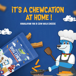 Friandise à mâcher pour chien au fromage de yak de l'Himalaya, durs à croquer, fabriquée en Inde, idéale pour les animaux de compagnie, offerte à des prix d'usine compétitifs. - Product Image 4