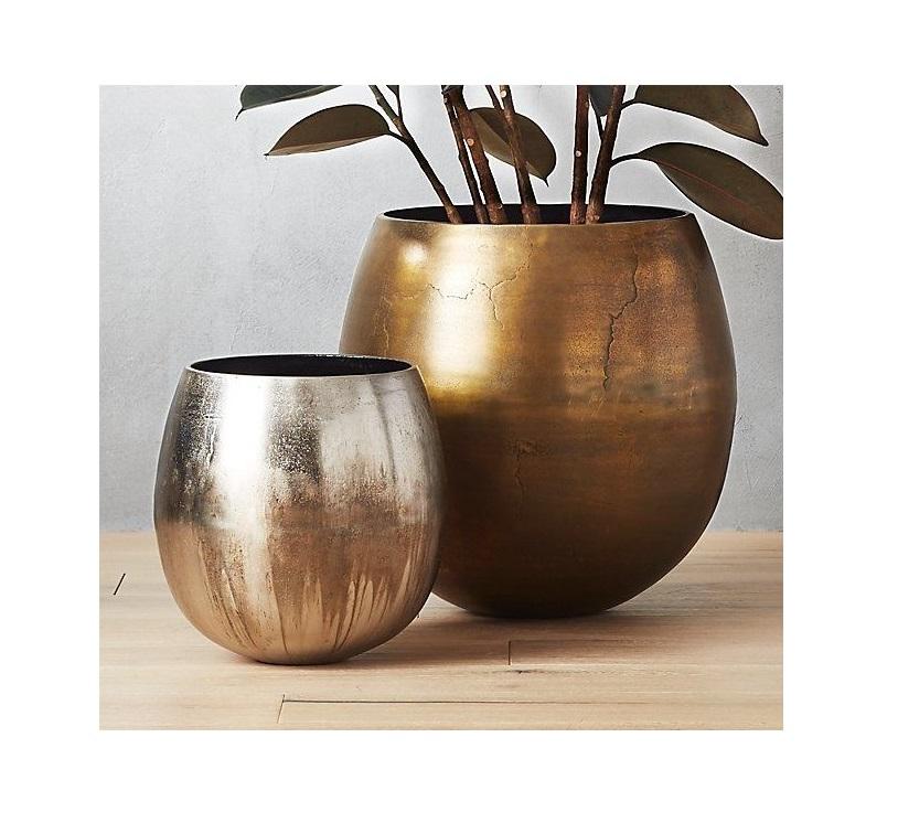 ตามที่แสดง