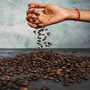 Grains de café Arabica indiens de qualité supérieure, torréfiés pour les applications expresso et la distribution en gros aux cafés et restaurants - Product Image 1