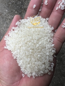 ข้าวญี่ปุ่นสำหรับซูชิ สายพันธุ์เซาท์เมกง เวียดนาม เตี้ยนเจียง ข้าวแห้ง เมล็ดสั้น คุณภาพมาตรฐาน หัก 5% สีขาว อายุการเก็บรักษา 2 ปี ผลผลิตใหม่ - Product Image 2