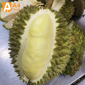 Durian Monthong Thaïlandais Premium Khey Taladthai, Pulpe de Durian Fraîchement Coupée, Prête à Consommer, Biologique, Sans Pépins, Texture Crémeuse, Grade 500g - Product Image 3