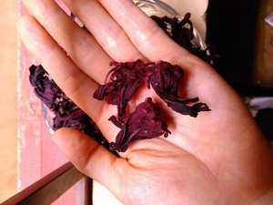 Pétales d'hibiscus séchés de qualité pour usage cosmétique, ingrédients naturels pour soins de la peau, pétales de fleurs séchées en vrac, fourniture d'usine, meilleur prix - Product Image 4