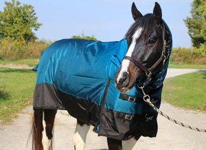 Wholesale Equestrian Equine Equipment NP Fitting Horse Fleece Rug Horses Blanket <b>Set</b> Hors Riding Products - Product Image 5