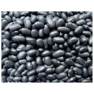 Frijoles Negros Naturales Provenientes de Granjas Confiables para la Industria Alimentaria, Empaque Minorista y Operaciones de Suministro a Granel - Product Image 5