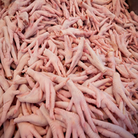 Pattes de poulet entières surgelées de qualité supérieure, nutritives, procédé de congélation BQF, durée de conservation de 24 mois - Fournisseur en gros pour les commandes en gros