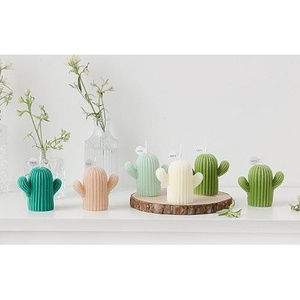 Candela Profumata Cactus - Muschio Forestale - Product Image 4