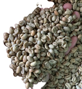 High Quality PHALCO Robusta Green Coffee <b>Beans</b> Grade 1 Screen 16/18 Vietnam Best Price Ready for Export in Jute <b>Bag</b> Packaging - Product Image 2