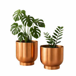 Pot de fleurs rustique en acier Corten avec plante verte, jardinière de bureau d'intérieur, design circulaire, non revêtu, fait main - Product Image 2