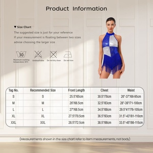 Costume de danse latine Jazz Samba Salsa Justaucorps pour les fêtes de scène Vêtements de danse Latin Outdoor Performance Wear Supplier - Product Image 6