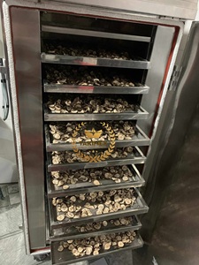 แป้งกล้วยเขียวจากเวียดนาม100% ธรรมชาติเป็นอาหารที่ดีที่สุดสำหรับสุขภาพของคุณแป้งกล้วยสีเขียวจากเวียดนาม - Product Image 5