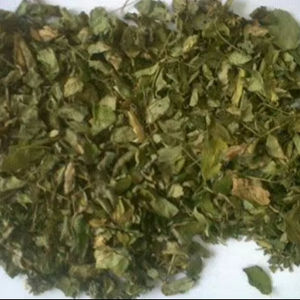 Produit phare VietDelta Moringa séché 100% naturel Dong Nai, durée de conservation de 6 à 12 mois, compléments alimentaires, stimulant immunitaire, en vrac - Product Image 1