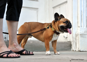 Laisse pour chien en cuir avec logo personnalisé, laisse tactique robuste pour l'entraînement avec clip grenouille de qualité supérieure pour la randonnée et la marche en extérieur - Product Image 5