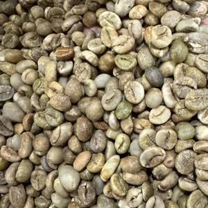 Nueva Cosecha de Granos de Café Verde Robusta, Origen Vietnam, Se Aceptan Pedidos Pequeños - Variedades S13, S14, S16, S18 - Product Image 6