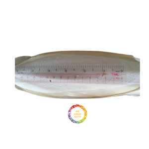 พรีเมี่ยมลายกระดูกสำหรับงานหัตถกรรมพื้นผิวเรียบ, ง่ายต่อการแกะสลัก, บรรจุภัณฑ์จำนวนมากจากเวียดนาม - Product Image 3