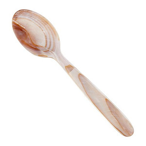 Shell <b>Spoon</b> With Mirror Polish Long Handle Durable Minimalist Design For Presents - Product Image 1