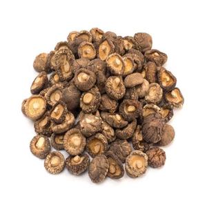 Hongo Shiitake seco de Vietnam/Hongo seco de alta calidad a granel/Hongo Shitake seco - Product Image 2