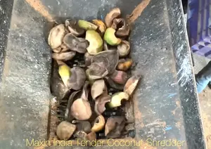 Trituradora de Coco Tierno de Doble Eje Eléctrica Semiautomática de la Mejor Calidad, Máquina Trituradora Orgánica - Product Image 4