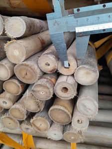 Poteau en bambou d'origine vietnamienne, matériau naturel pour la construction, la conception de meubles et l'utilisation en structure extérieure de jardin. - Product Image 2