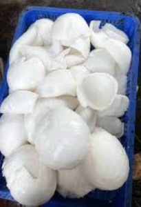 Fabricant vietnamien de viande de noix de coco surgelée IQF pour l'alimentation, viande de noix de coco naturelle en vrac, vente en gros, exportation d'usine - Product Image 3