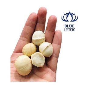 Disponible : Noix de macadamia croustillantes écologiques, alimentation durable de qualité supérieure pour le régime quotidien - Product Image 1