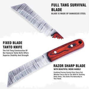 Couteau de chasse artisanal en acier inoxydable avec couteau à dépecer incurvé confortable fait main, manche en bois Pakka et étui en cuir - Product Image 4