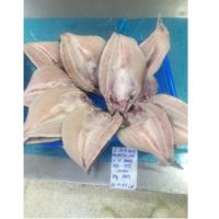 Filet de Pangasius du Vietnam, qualité export, sans peau/avec peau, faible teneur en glucides, style papillon, 20-35, livraison directe usine