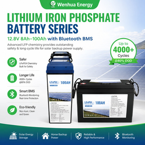 Batterie LiFePO4 12,8 V 100 Ah à cycle profond 6000 cycles, boîtier ABS, pour usage domestique, alimentation fiable – Vente en gros usine - Product Image 1