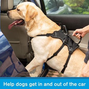 Adjustable XS <b>Dog</b> <b>Harness</b> <b>with</b> Handle 5-Point Escape Proof Nylon Anti-Pull Support Lift Small <b>Dogs</b> Outdoor Safety - Product Image 3