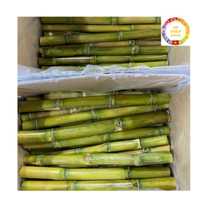 Bloque de Jugo de Caña de Azúcar Congelado |   Bebida de Verano Natural Dulce con Alto Contenido de Brix, Venta al por Mayor a Granel, Suministro de Fábrica - Product Image 6