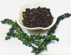 Pimienta Verde y Pimienta Negra de Alta Calidad – Granos de Pimienta Frescos y Secos, Precio Competitivo // Mr.Tom - Product Image 6