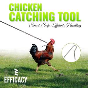 Outil de récupération de poulets en acier inoxydable pour convoyeur aérien de ligne de traitement de volailles et d'abattage de poulets de chair - Product Image 2