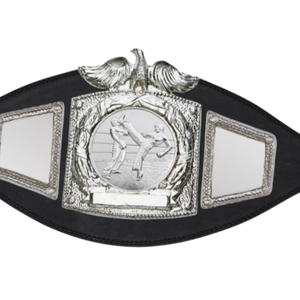 เข็มขัดแชมป์มวยปล้ำคุณภาพสูง ดีไซน์รูปนกอินทรีและลูกโลก เข็มขัดกีฬาสะสมคุณภาพพรีเมียม - Product Image 5