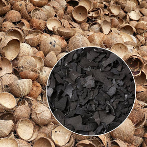 ขายมะพร้าว/มะพร้าวเปลือก/เปลือกมะพร้าวเก่าราคาถูก - Product Image 3