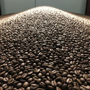 Café en Grains Entiers Torréfiés 100% Arabica de Marque Privée, Qualité Supérieure, Prix de Gros Compétitif, Conditionné en Sac - Product Image 6