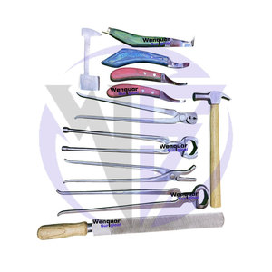 Professional 11-Piece Stainless Steel Farrier Tools Kit High Quality Horse Hoof <b>Care</b> Wenquar Surgical Instruments - Product Image 5