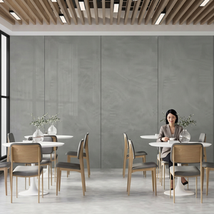 Carreaux de sol en pierre frittée pleine masse gris cendré de haute qualité 160x320cm pour chambre, couloir, allée extérieure et jardin - Product Image 5