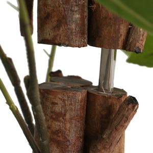 Árbol Artificial de Limón Verde Grande de Polipropileno, Producto de Categoría Premium con Aspecto de Madera de Eucalipto - Product Image 2