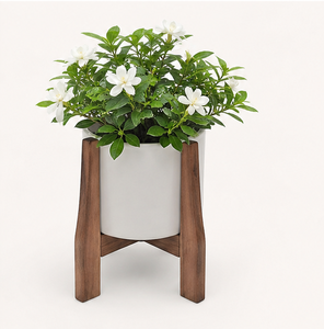 New Arrival Mid Century Modern Wooden Plant Stand Indoor Flower <b>Pot</b> <b>Holder</b> for Living Room Decor Solid Walnut Wood Stand - Product Image 4