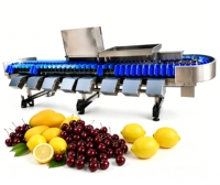 Workshop automatische sorteerapparatuur fruit- en groentesorteermachine
